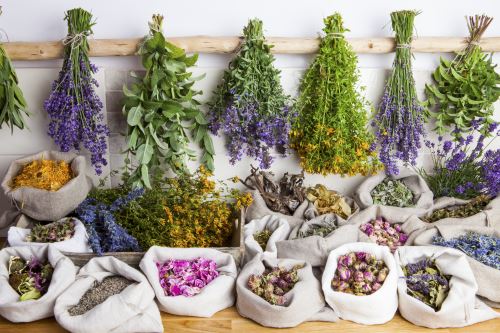 5 základních léčivých bylinek pro jaro