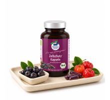 Aronia Original CellAktiv BIO – arónie s acerolou 120 kapslí Aronia Original CellAktiv BIO – arónie s acerolou 120 kapslí