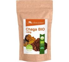 Chaga BIO RAW 100g