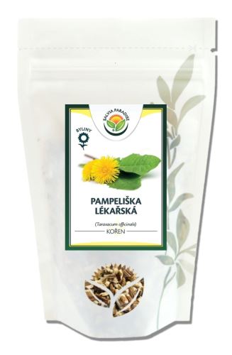 Salvia paradise Pampeliška lékařská kořen řezaný 100g