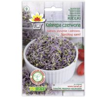 Kedluben červený - semena na klíčky 10g