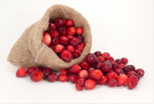 Brusinková šťáva, klikva